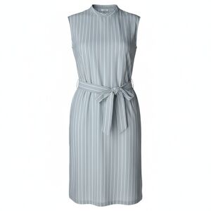 Peserico Silk Blend Size 46 US Size XL Dress Light Green Striped Knee Length